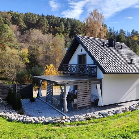 Villa Lesny Zaulek à Muszyna Extérieur photo