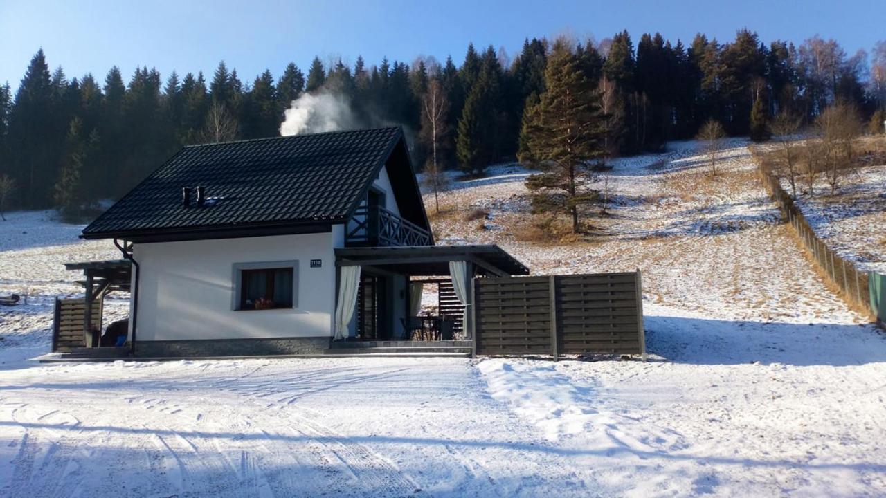 Villa Lesny Zaulek à Muszyna Extérieur photo
