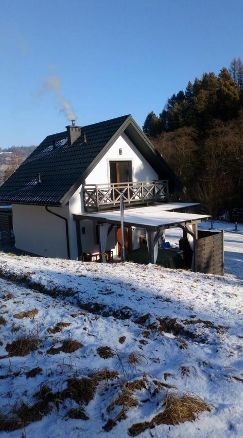 Villa Lesny Zaulek à Muszyna Extérieur photo