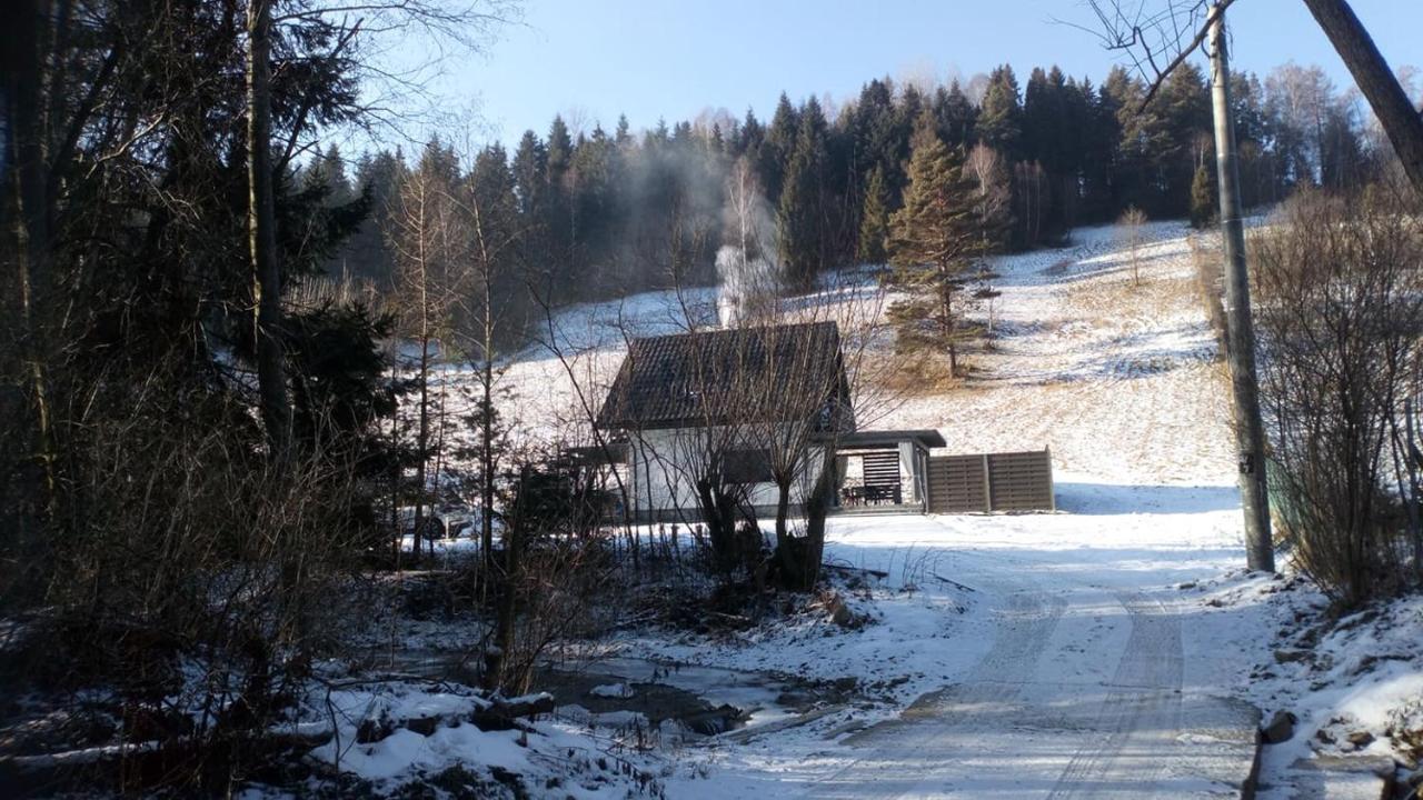 Villa Lesny Zaulek à Muszyna Extérieur photo